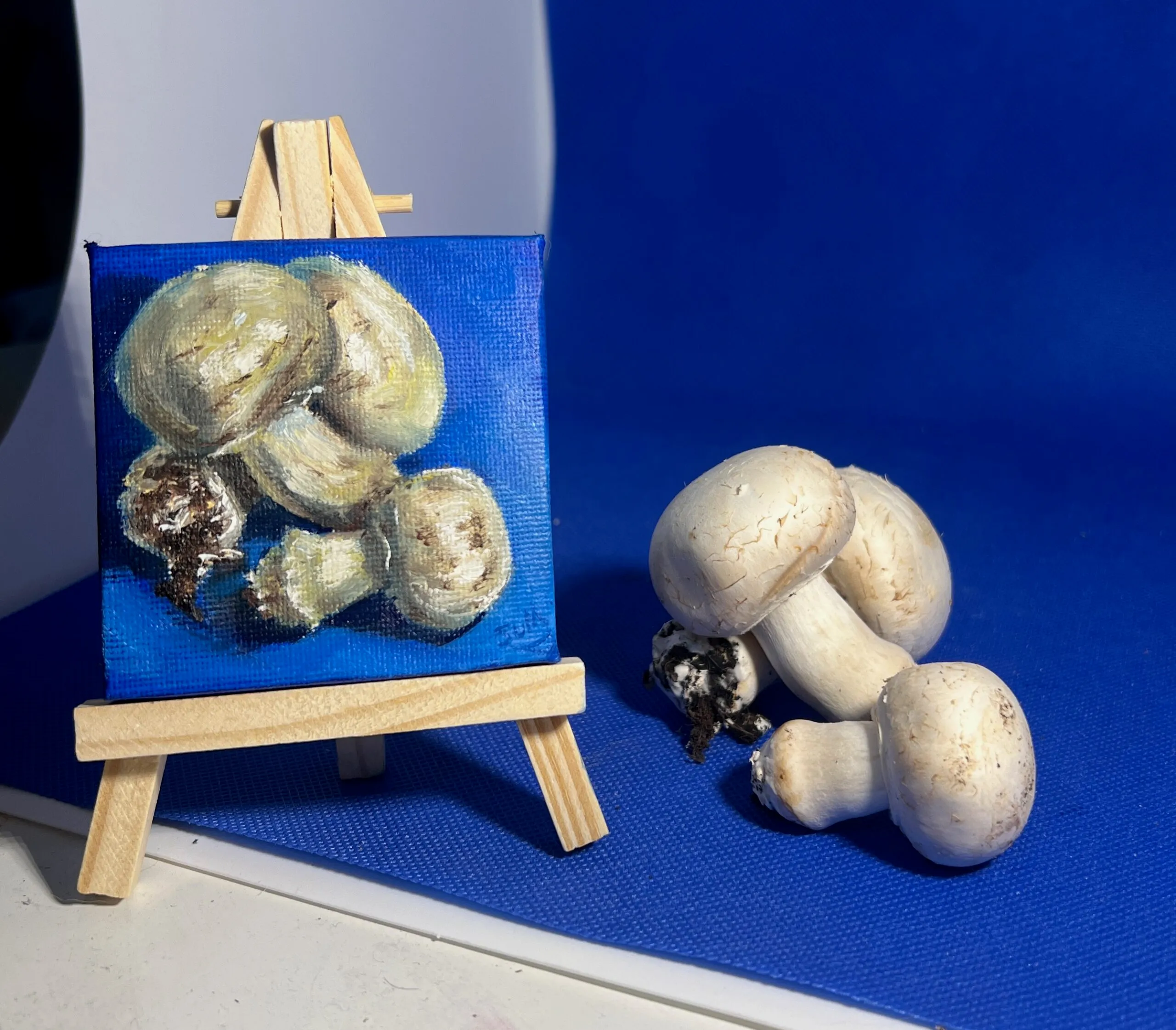 Mushrooms — original miniature oil painting on canvas