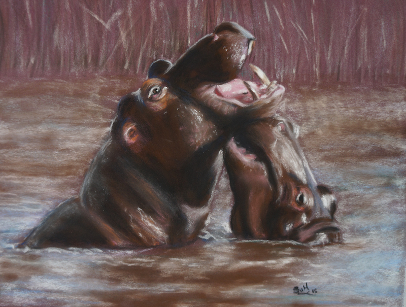 Hippos