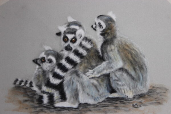 Family of Lemurs