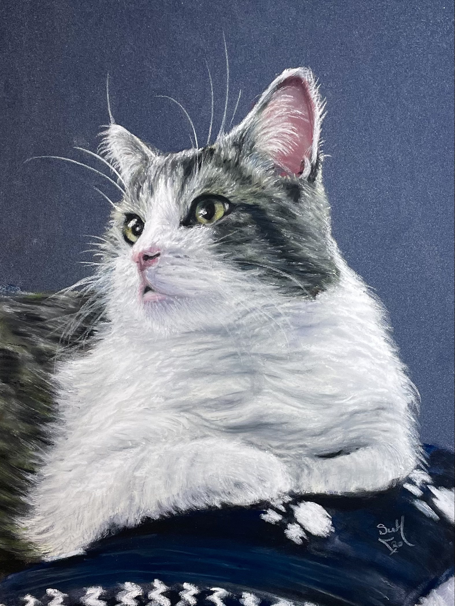 Pastel painting, tabby cat