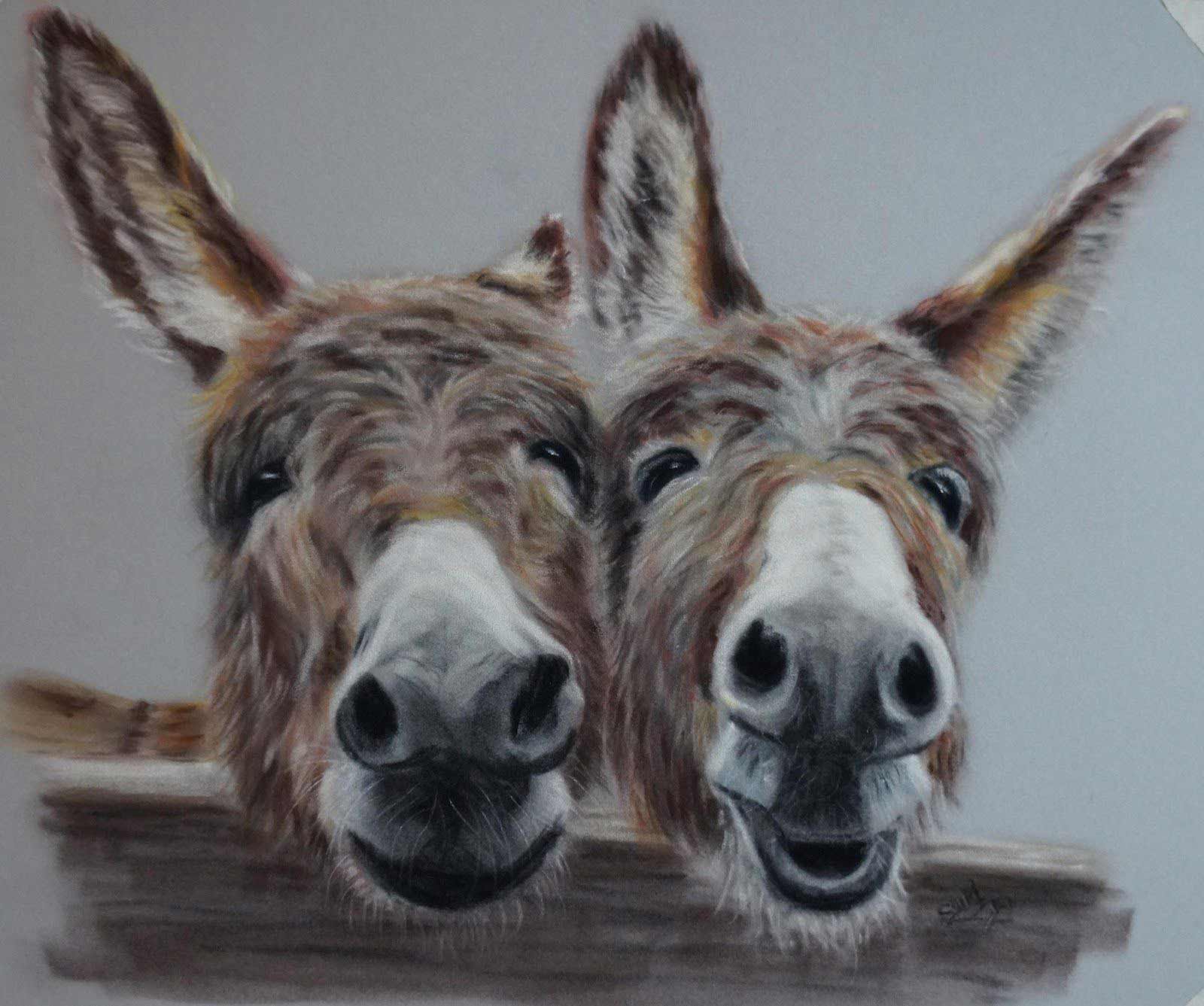 Two Donkeys