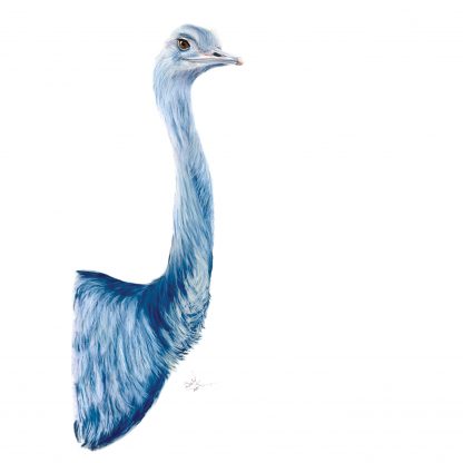 Blue, Ostrich – Print