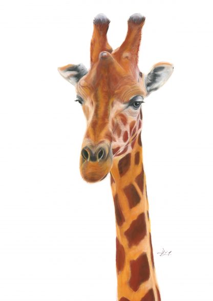 Kiko the Giraffe – Print