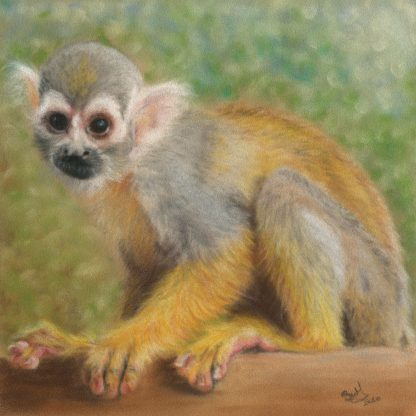 Quiet, Squirrel Monkey – Print, 9 by 9 inches