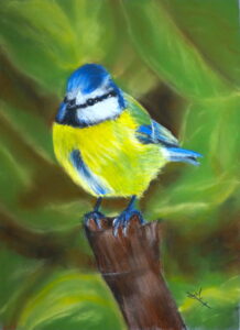 Blue Tit Art Workshop