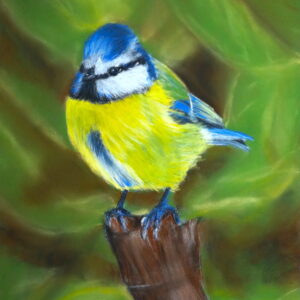 Blue Tit Art Workshop
