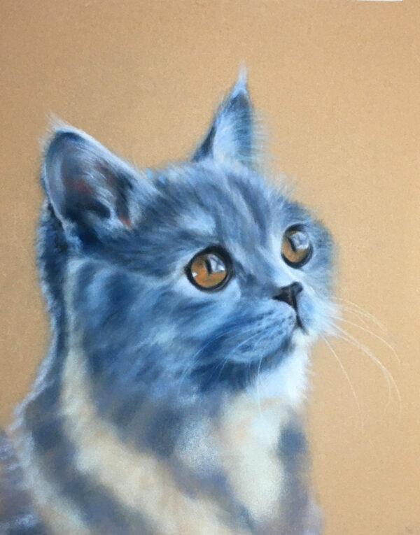 Blue Cat Pastel Art Kit