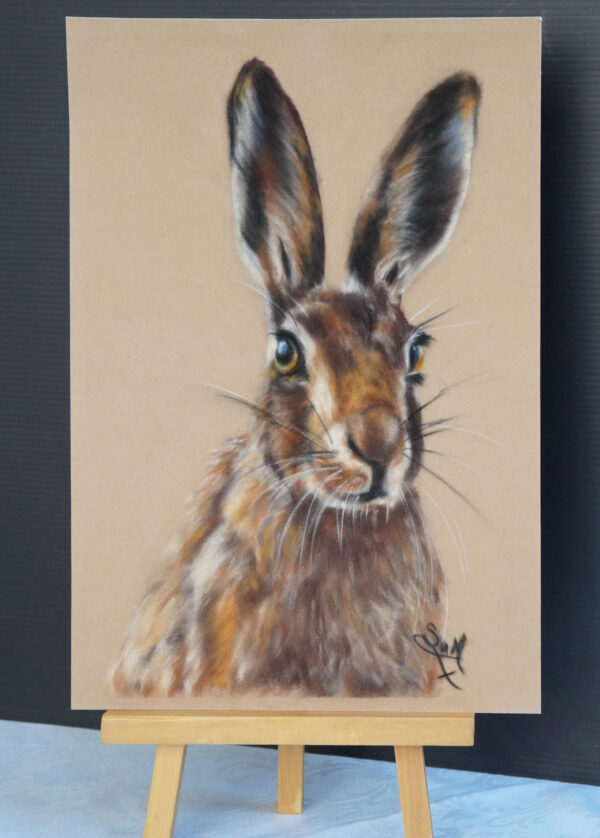Hare Art Kit