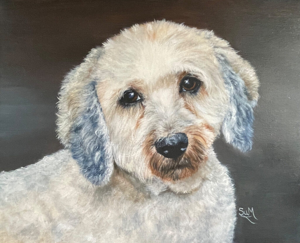 Dog pet portrait