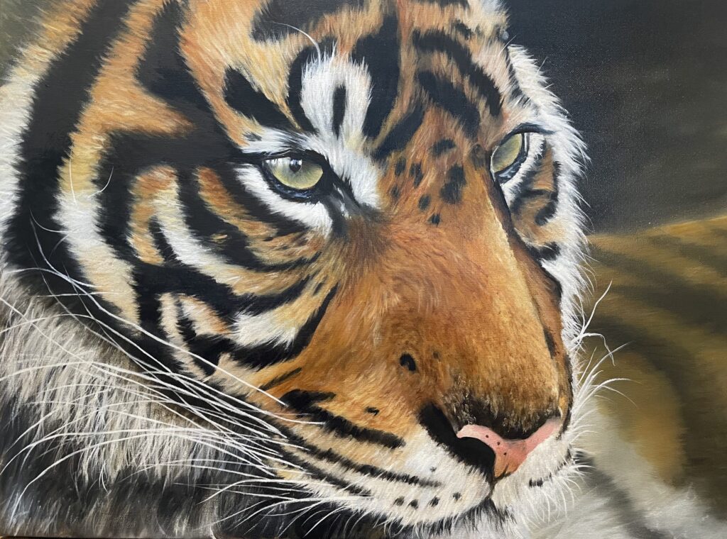 Tiger Oil Painting