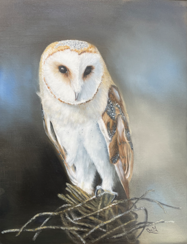 Barn Owl Oil Painting