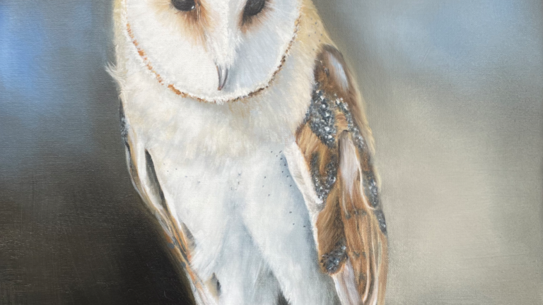 Barn Owl – Oil Painting