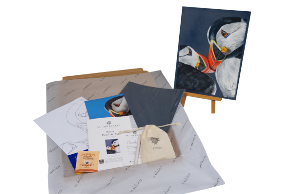 Puffin Art Kit