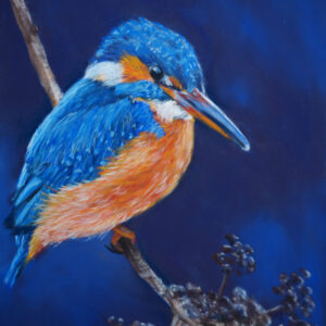 Royal Blue Pastel