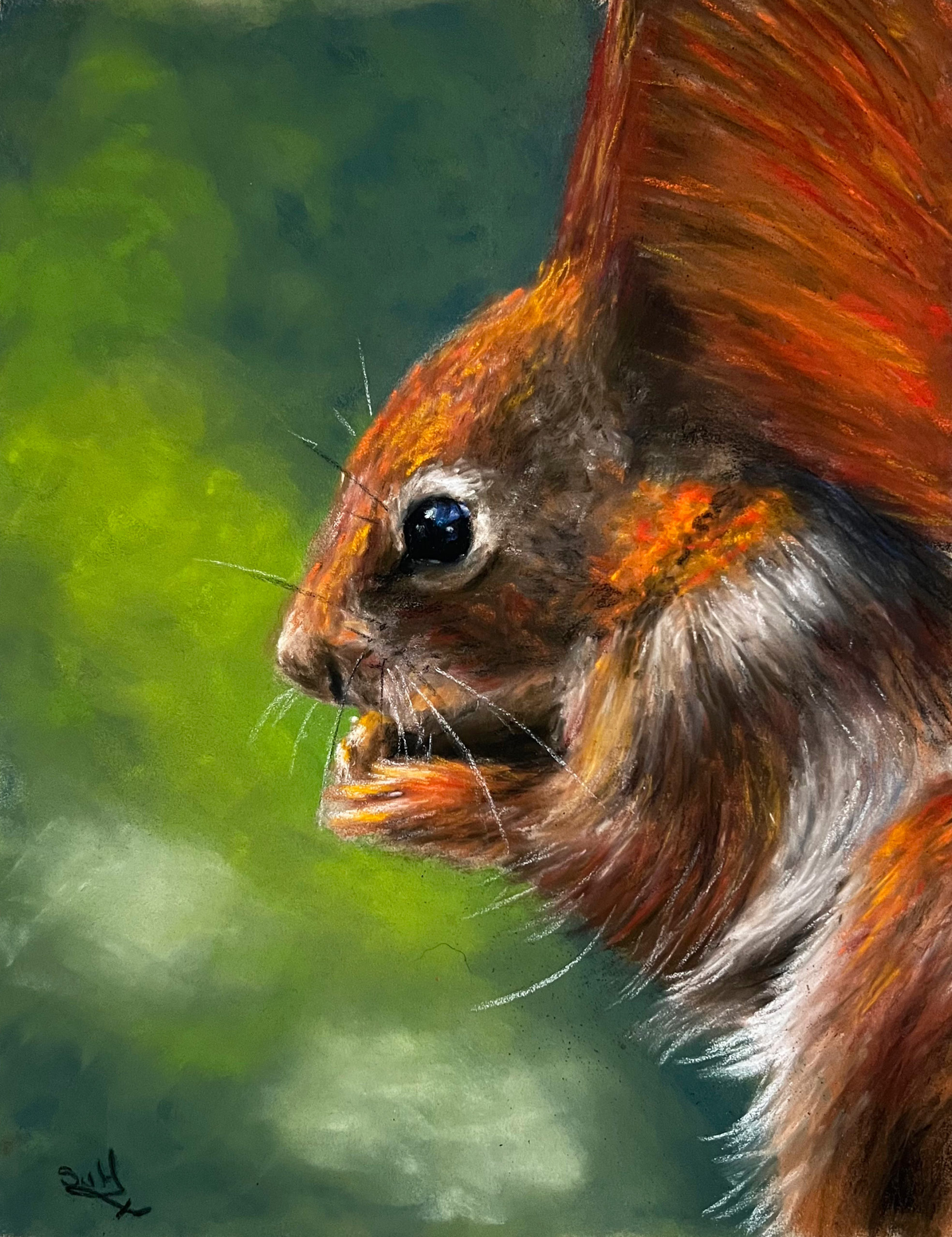 Red Squirrel Pastel Painting