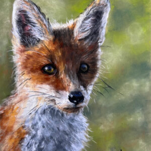 Pastel drawing of a fox