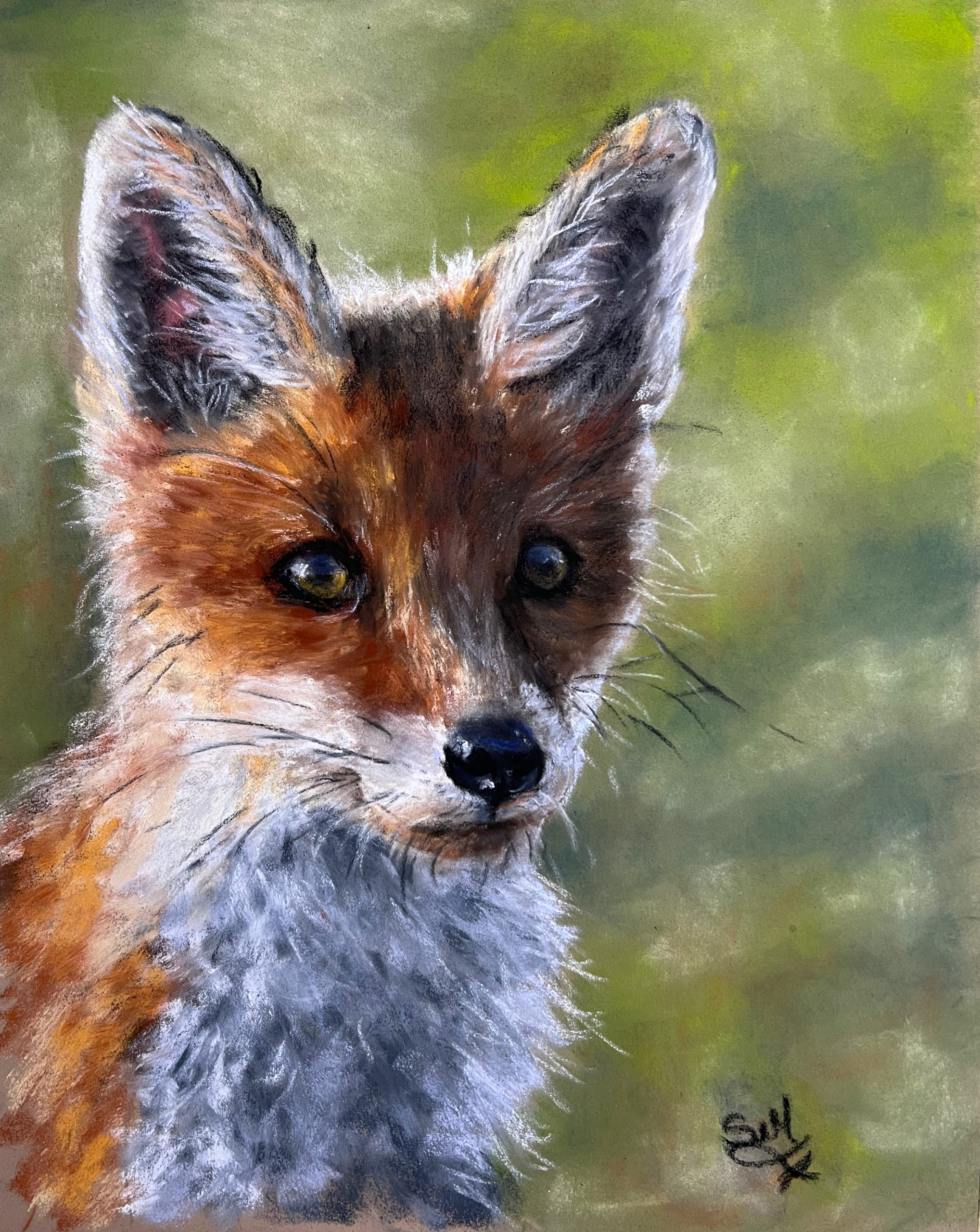 Pastel drawing of a fox