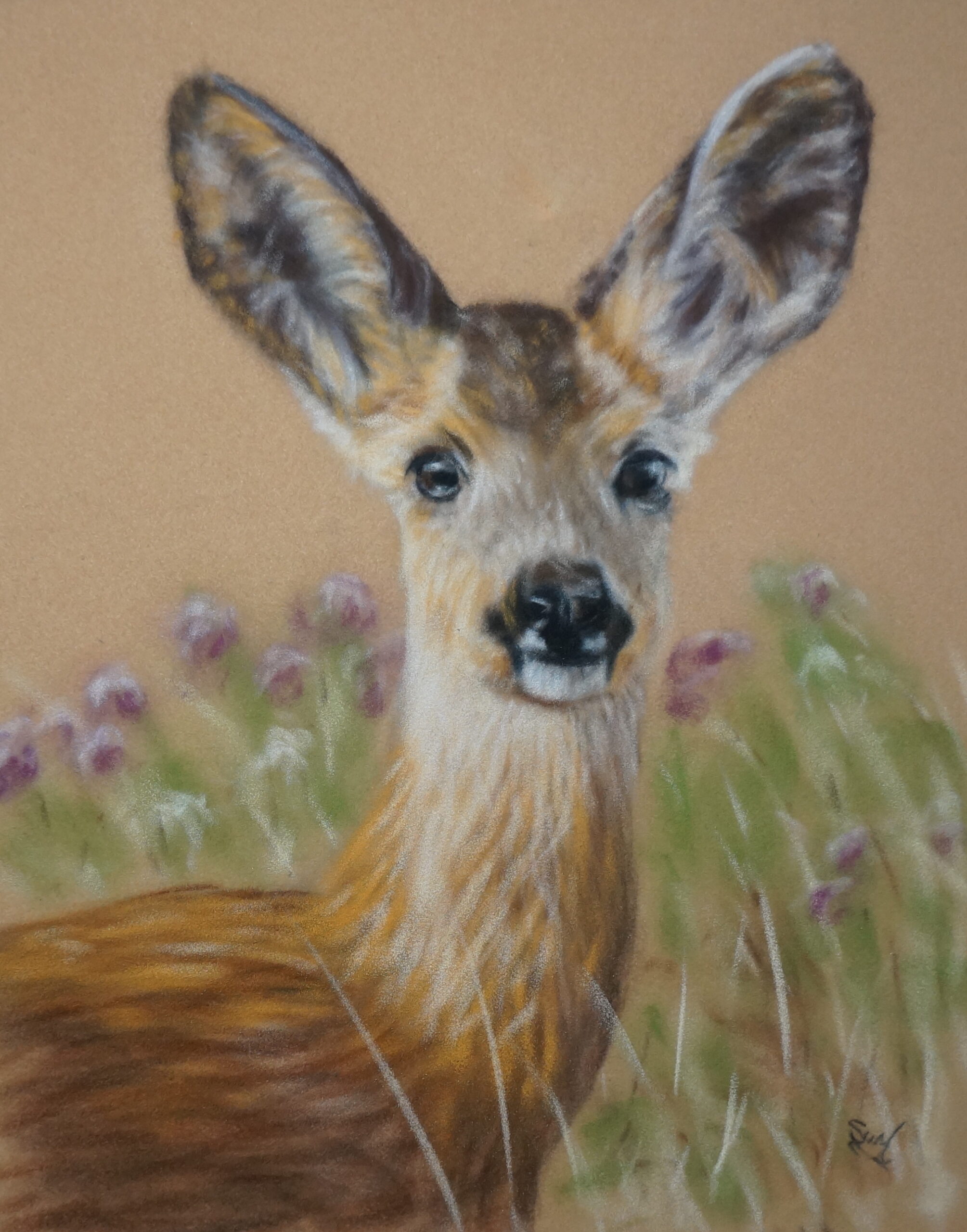 Roe Deer Pastel Tutorial