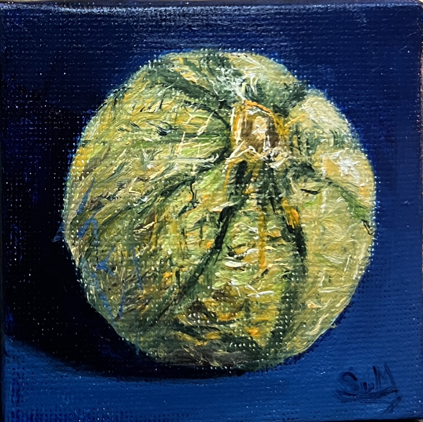 The Minis - Melon - Image 2