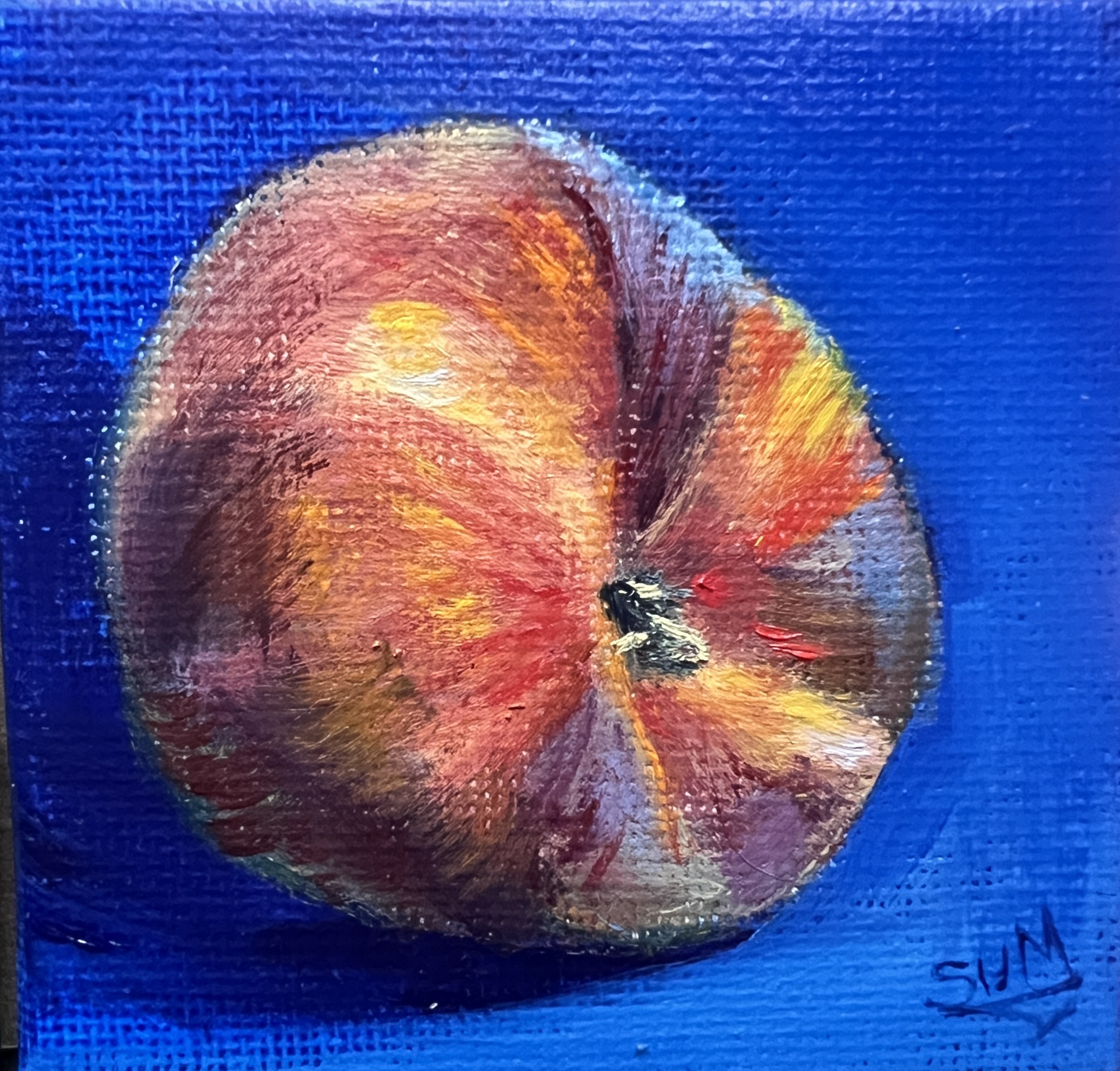 The Minis - Peach - Image 2